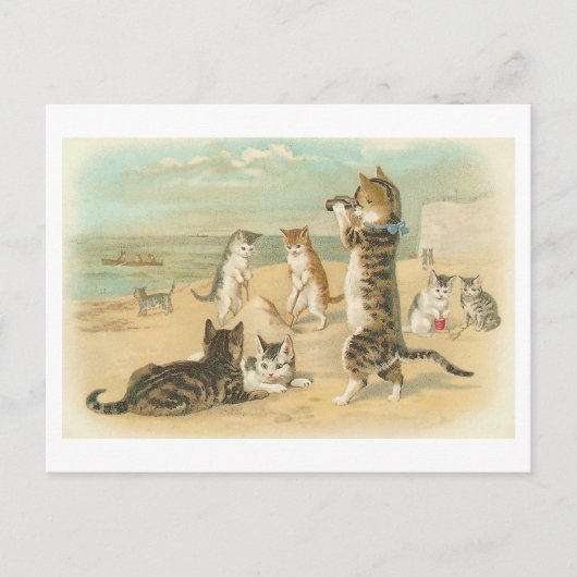 "Katten op het strand"  Briefkaart (Voorkant)