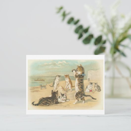 "Katten op het strand" Vintage Briefkaart (Staand voorkant)