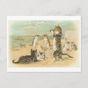 "Katten op het strand" Vintage Briefkaart