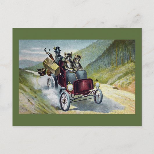 Katten op vakantie in de Catskills Briefkaart (Voorkant)