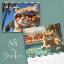 Katten op vakantie