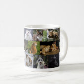 Katten overal koffiemok (Voorkant rechts)