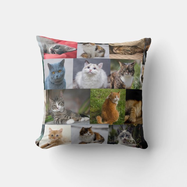 Katten overal kussen (Voorkant)