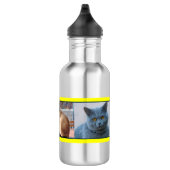 Katten overal waterfles (Rechts)