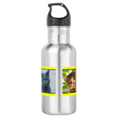 Katten overal waterfles (Achterkant)
