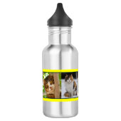 Katten overal waterfles (Links)