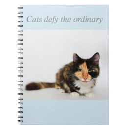 "Katten overdrijven de gewone" Phoebe-laptop Notitieboek