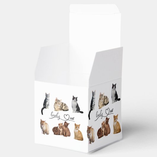 katten pakket, Grappige katten pakket Bedankdoosjes (Geopend)