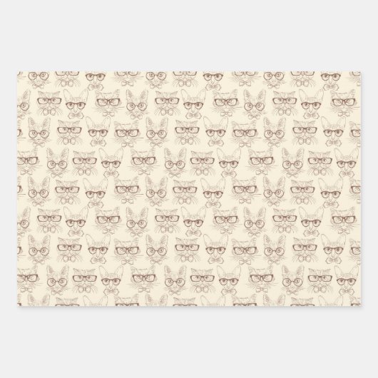 Katten: papierbladen voor onmiddellijke verpakking inpakpapier vel (Voorkant 2)