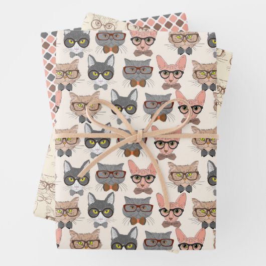 Katten: papierbladen voor onmiddellijke verpakking inpakpapier vel (In situ)