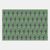 Katten: papierbladen voor onmiddellijke verpakking inpakpapier vel (Voorkant 2)