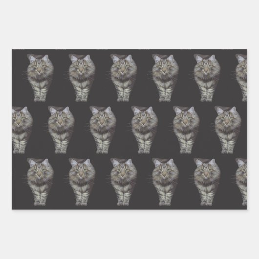 Katten: papierbladen voor onmiddellijke verpakking inpakpapier vel (Voorkant)