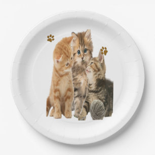 Katten Papieren Bordje