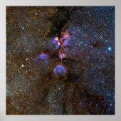 Katten Paw Nebula in Scorpius - afbeelding ruimte Poster (Voorkant)