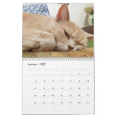 Katten Pip - Agenda 2020 Kalender (Jan 2027)