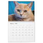 Katten Pip - Agenda 2020 Kalender (Feb 2027)