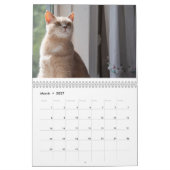 Katten Pip - Agenda 2020 Kalender (Mar 2027)