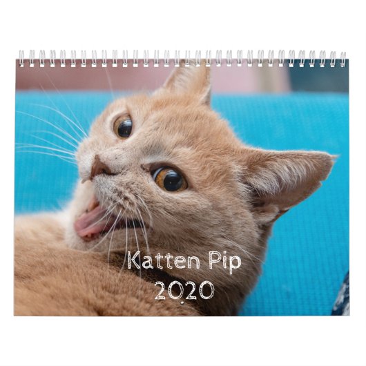 Katten Pip - Agenda 2020 Kalender (Hoes)