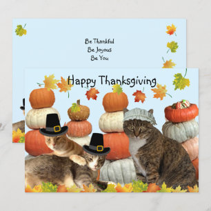 Katten, pompoenen en herfstbladeren