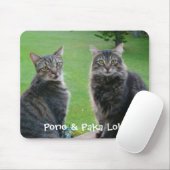 Katten Pono en Paka Lolo Muismat (Met muis)