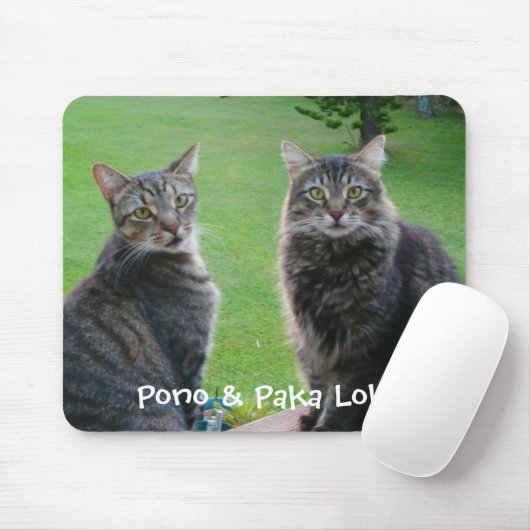 Katten Pono en Paka Lolo Muismat (Met muis)