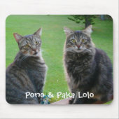 Katten Pono en Paka Lolo Muismat (Voorkant)