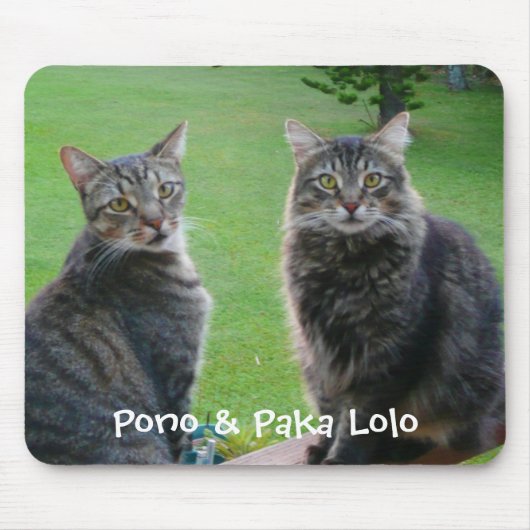 Katten Pono en Paka Lolo Muismat (Voorkant)