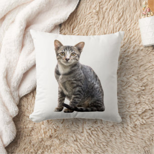 Katten Portret Pet Tomcat Animal Design Kussen