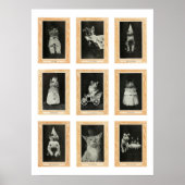 Katten Poster (Voorkant)