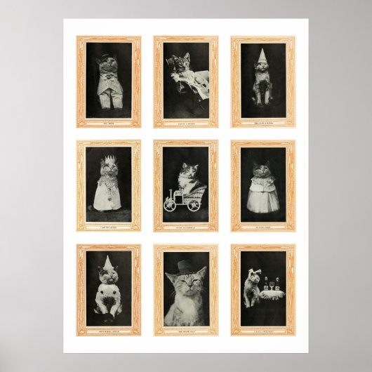 Katten Poster (Voorkant)