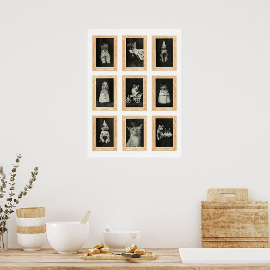 Katten Poster (Keuken)