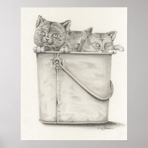 Katten Poster