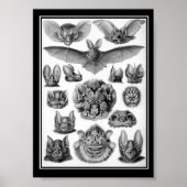 Katten! Poster (Voorkant)