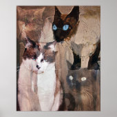 Katten Poster (Voorkant)