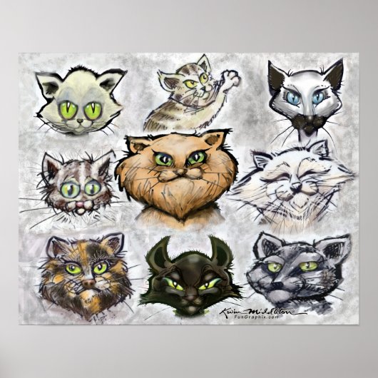 Katten Poster (Voorkant)