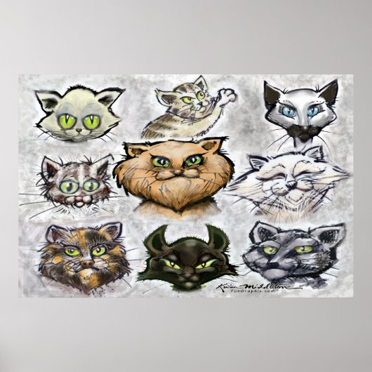 Katten Poster (Voorkant)