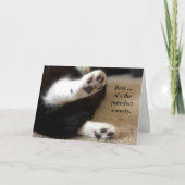 Katten poten worden goed Kaart (Voorkant)