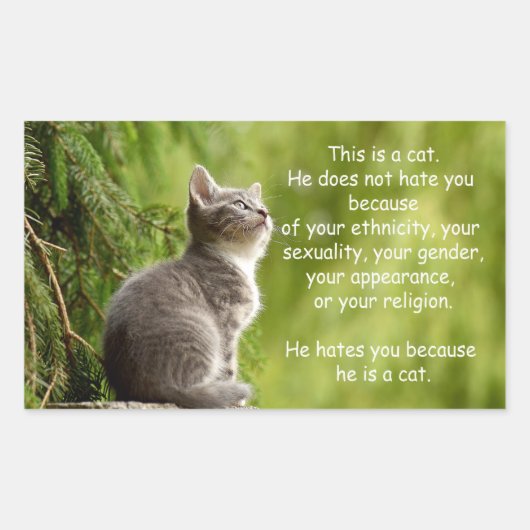 Katten Rechthoekige Sticker (Voorkant)