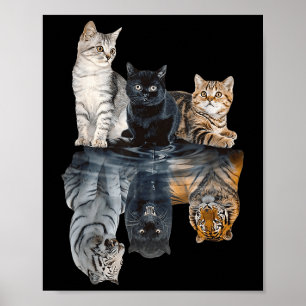 Katten Reflectie Spiegel Leeuw Cheetah Tijger Funn Poster