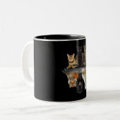 Katten Reflection Friend Cat Lovers Cute Tiger Tweekleurige Koffiemok (Voorkant links)