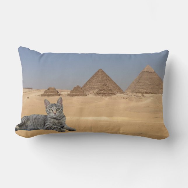 Katten regel.Sierkussen Kussen (Voorkant)