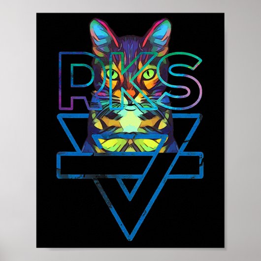 Katten Regenboog Kitten Verrassing Schattige Kat Poster (Voorkant)