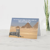 Katten regeren! kaart (Achterkant)