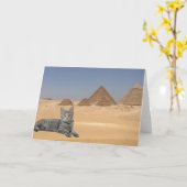 Katten regeren! kaart (Gele Bloem)