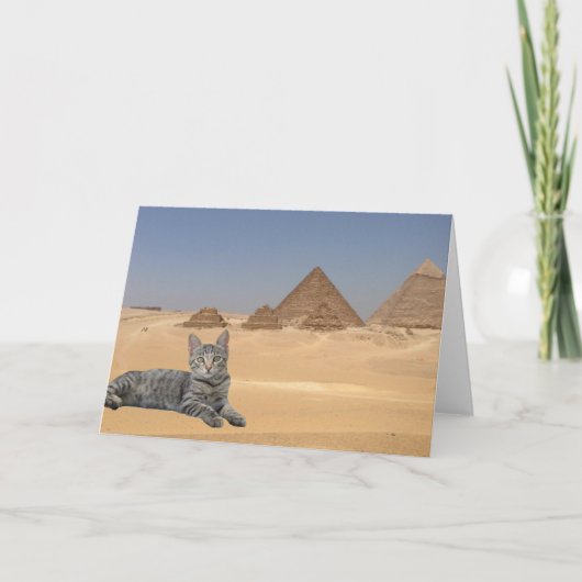 Katten regeren! kaart (Voorkant)