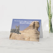 Katten regeren! kaart (Achterkant)