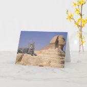 Katten regeren! kaart (Gele Bloem)