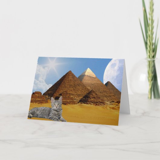 Katten regeren! kaart (Voorkant)