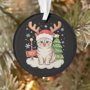 Katten Rendier Geweien Kerstboom Kerst Vakantie Ornament