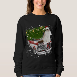 Katten Rides Red Truck Kerstmis Trui